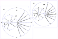 The Bespoke Enormous Gears